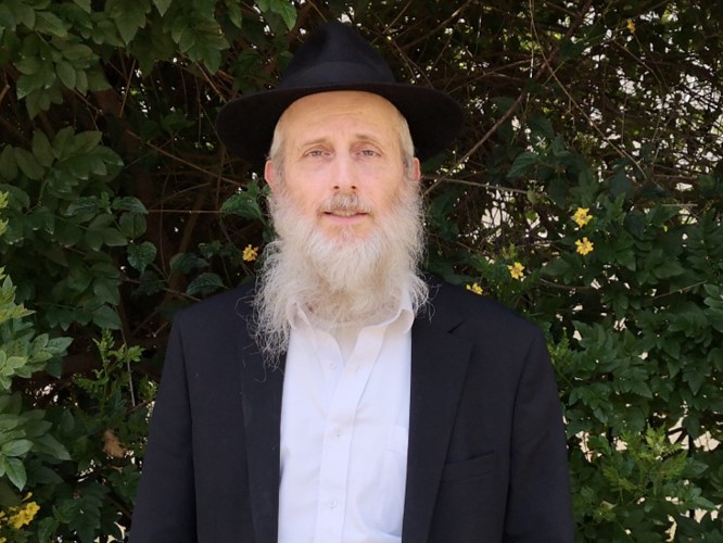 ארז, עמותת 'לחיות בכבוד'